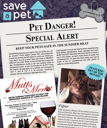 Save-A-Pet: E-Newsletter