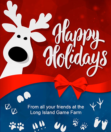 Long Island Game Farm: Holidays Email