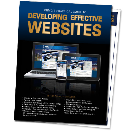 Free Download: Practical Guide to Developing Effective Websites